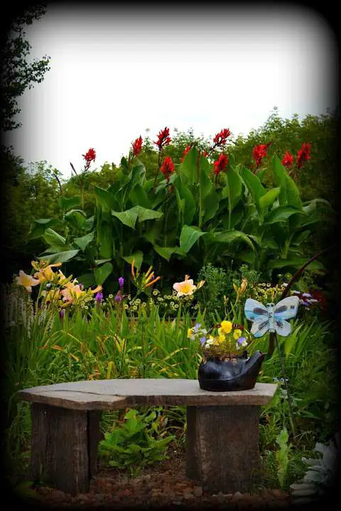 Solange's Garden